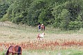 _MG_4400