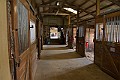 _MG_4401