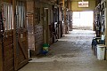_MG_4424