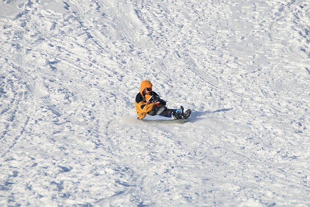IMG_6549.JPG