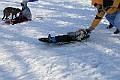 IMG_6503