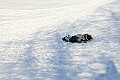 IMG_6505