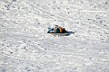 IMG_6511
