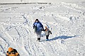IMG_6516