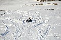 IMG_6528