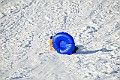 IMG_6529