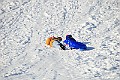 IMG_6530