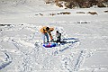 IMG_6533