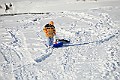 IMG_6534