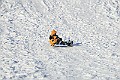 IMG_6548