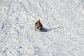 IMG_6550