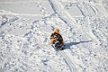 IMG_6551