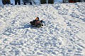 IMG_6568