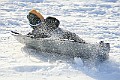 IMG_6578
