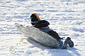 IMG_6580
