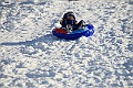 IMG_6586