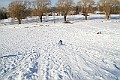 IMG_6608