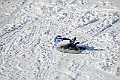IMG_6616