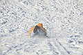 IMG_6635