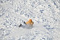 IMG_6638