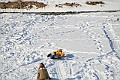 IMG_6644