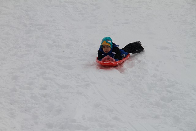 _MG_8423.jpg