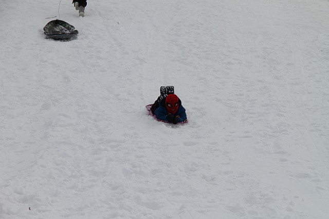 _MG_8433.jpg