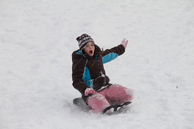 _MG_8439.jpg