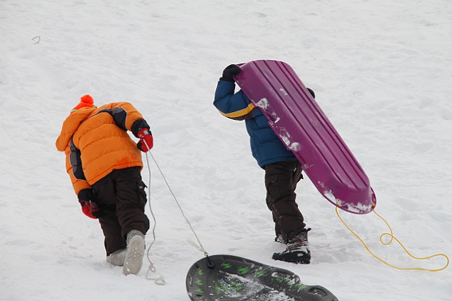 _MG_8448.jpg