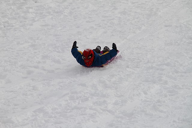 _MG_8485.jpg