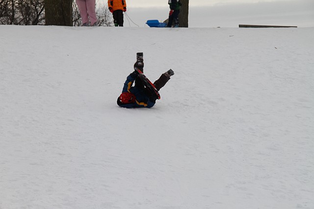 _MG_8530.jpg