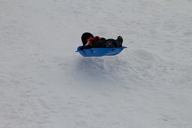 _MG_8544.jpg