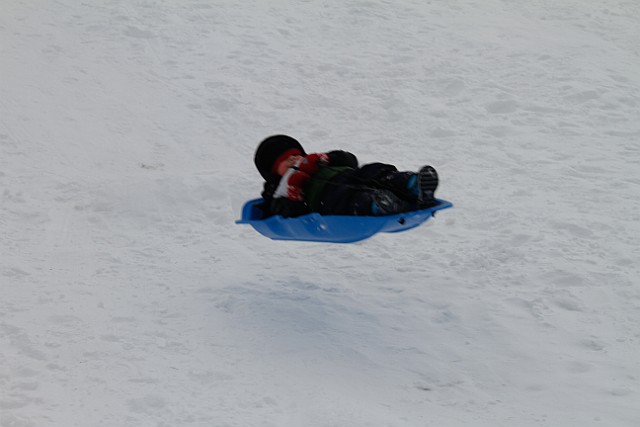 _MG_8545.jpg