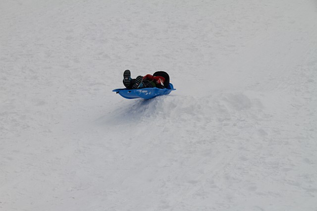 _MG_8574.jpg