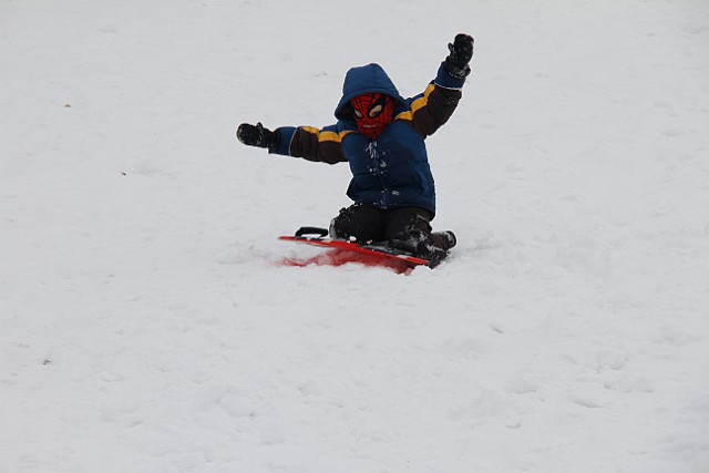 _MG_8678.jpg