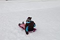_MG_8388-2