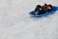 _MG_8475
