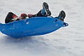 _MG_8506