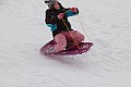 _MG_8517