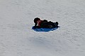 _MG_8545