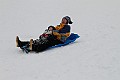 _MG_8650