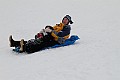 _MG_8652