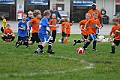 IMG_7754