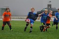 IMG_7784
