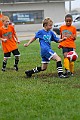 IMG_7799