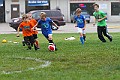 IMG_7839