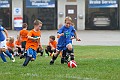 IMG_7870