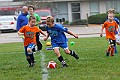 IMG_7881