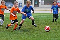 IMG_7903