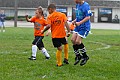 IMG_7906